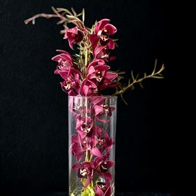 Orchid in Water