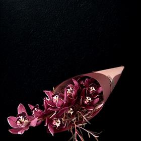 Orchid Gift wrapped